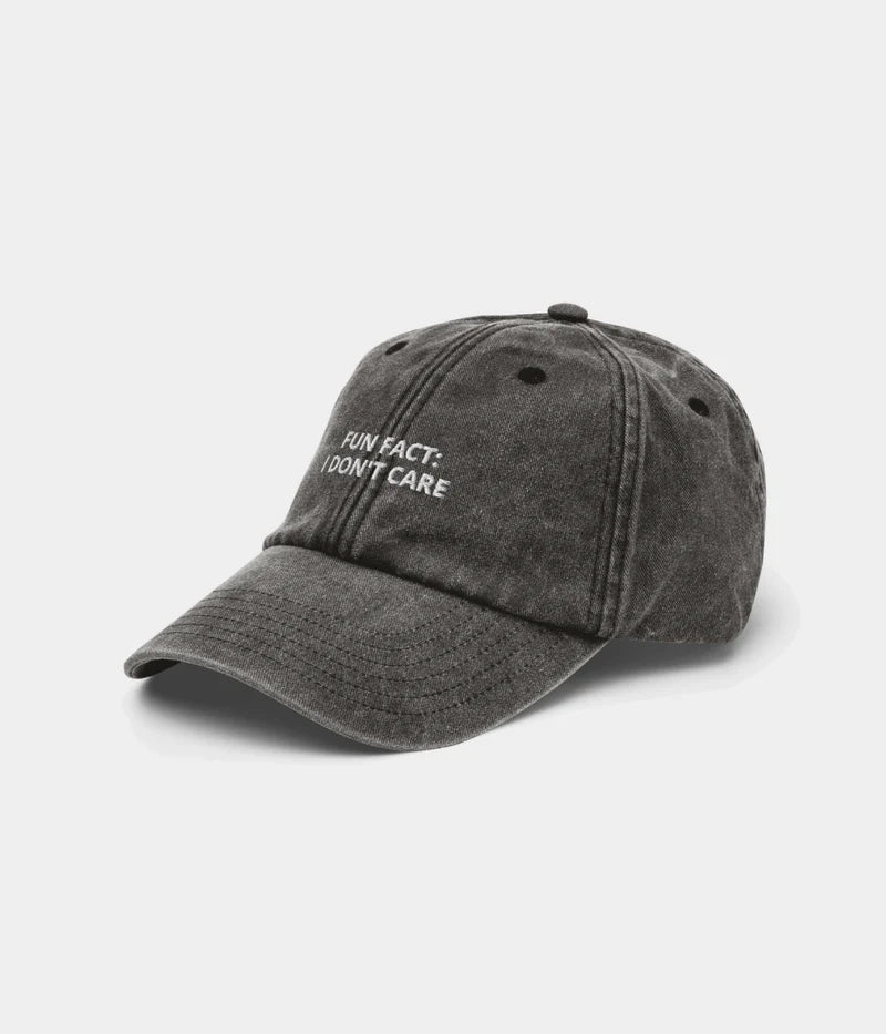 Fun Fact: I Don’t Care Distressed Dad Hat - Vintage Black Baseball Cap Lebanon