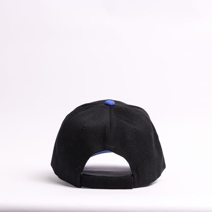 Embroidered Dolphin Mascot Baseball Cap | Black & Royal Blue Custom Marine Life Dad Hat